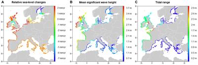 Detecting Changes in European Shoreline Evolution Trends Using Markov Chains and the Eurosion Database